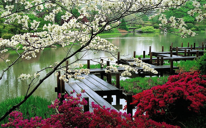 Giardino giapponese Cherry Blossom, giardino zen primaverile Sfondo HD