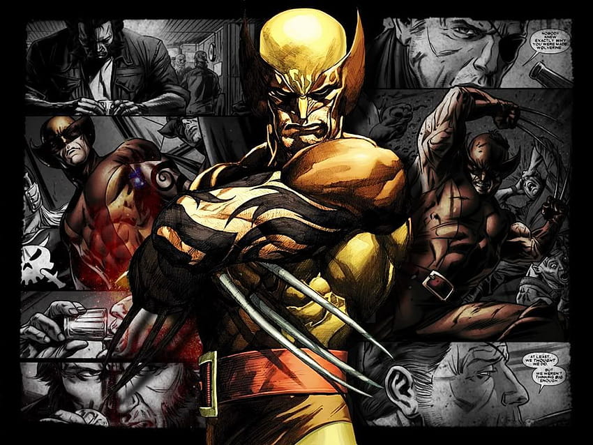 Wolverine Art, Vielfraß-Comic-Kunst HD-Hintergrundbild
