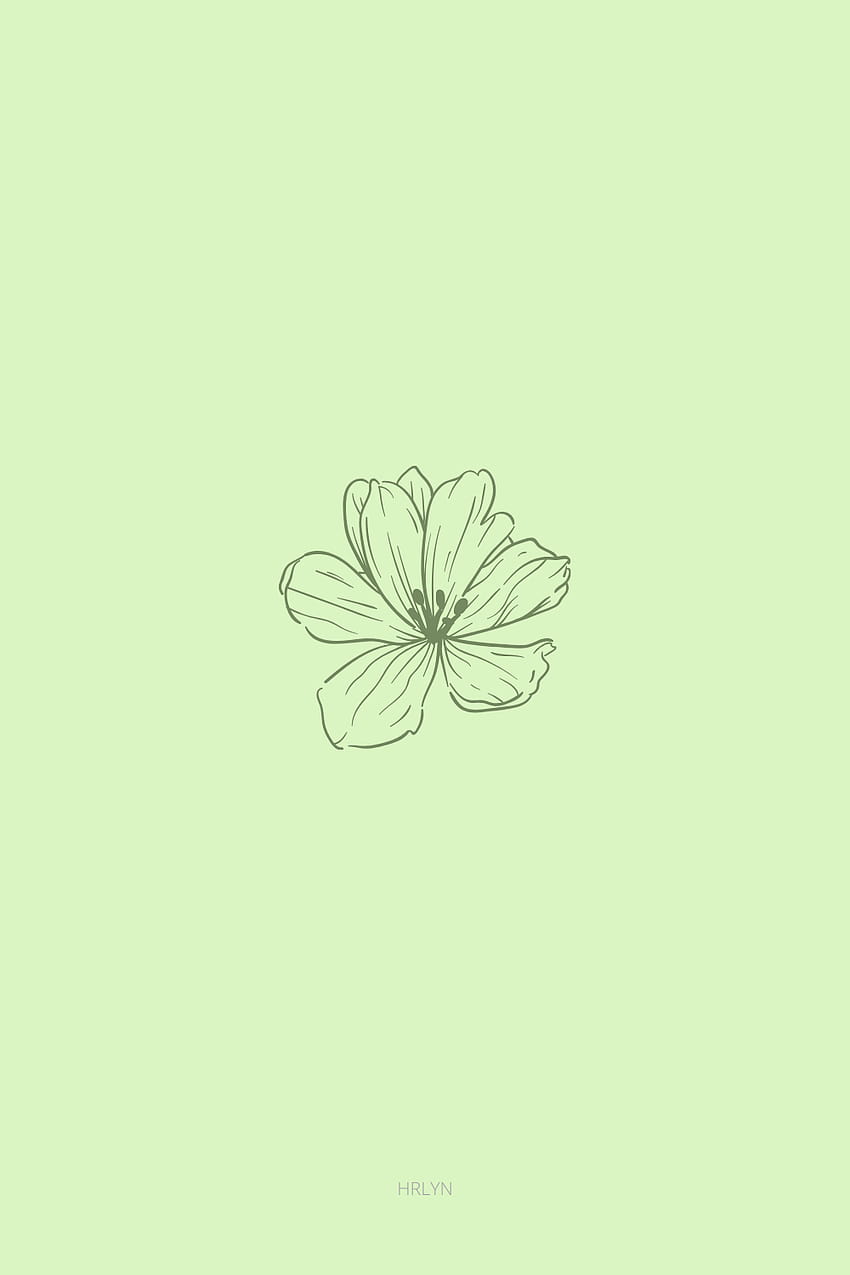 flower green minimalist, green aesthetic spring HD phone wallpaper
