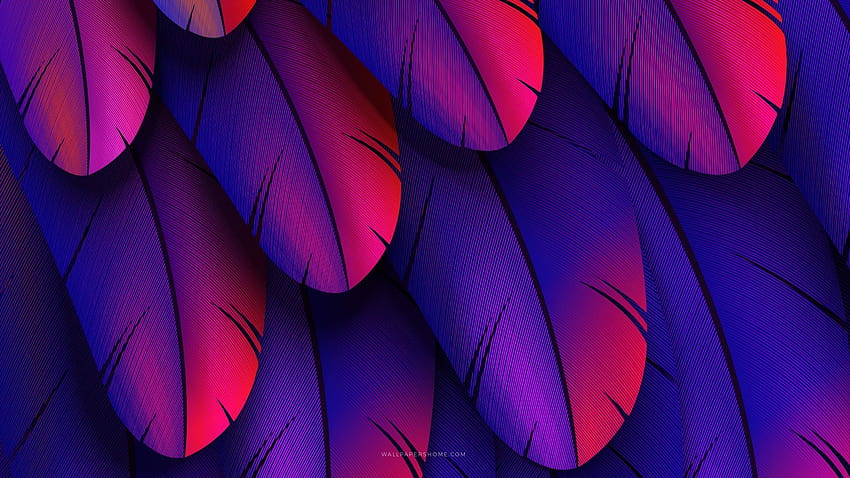 colorful graphic design abstract HD wallpaper
