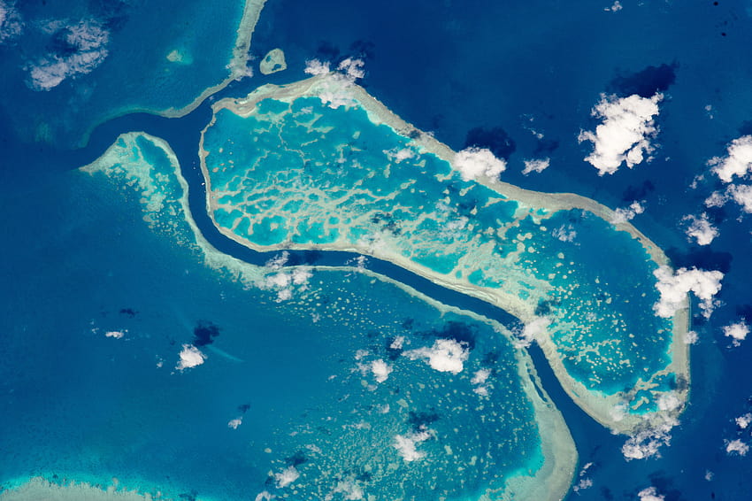 Wielka Rafa Koralowa , Ziemia, kwatera główna Wielka Rafa Koralowa, wyspa barierowa Tapeta HD