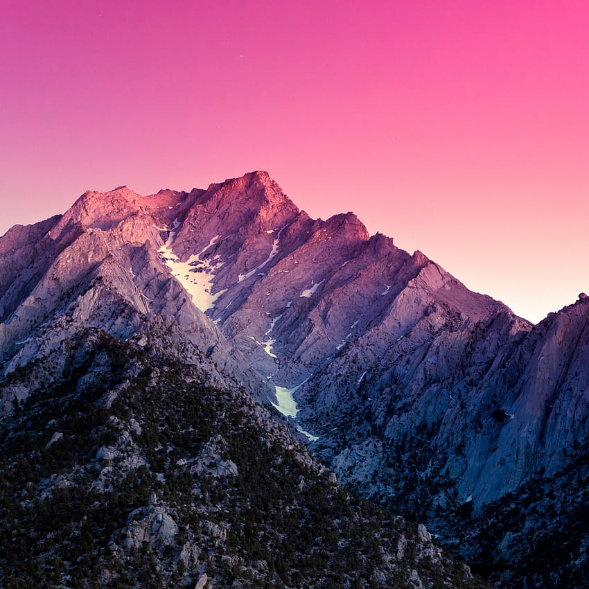 Sierra Nevada , Estética, California, Montañas, Tarde, Naturaleza, rosa invierno fondo de pantalla del teléfono