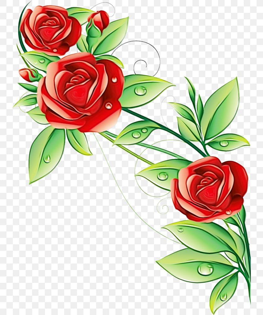 Стенопис с градински рози Цвете за всекидневна, PNG, 745x980px, Градински рози, Ботаника, Букет, Камелия, Рязани цветя HD тапет за телефон