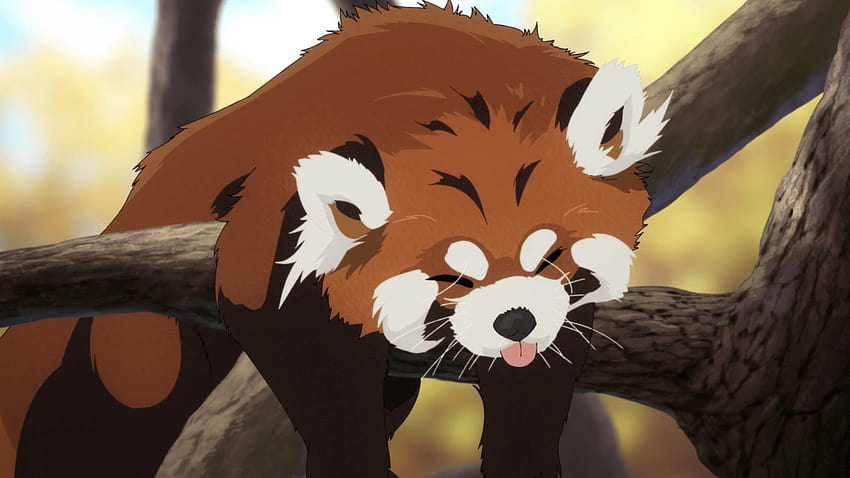 Red Panda Anime na psie, małe czerwone pandy Tapeta HD