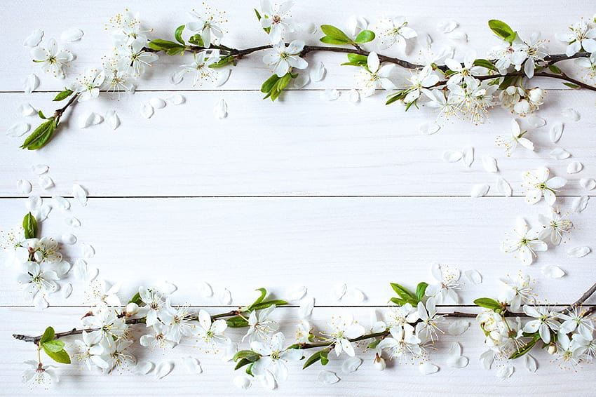 placas de cartão de modelo de flor Árvores floridas, flores de primavera em madeira papel de parede HD
