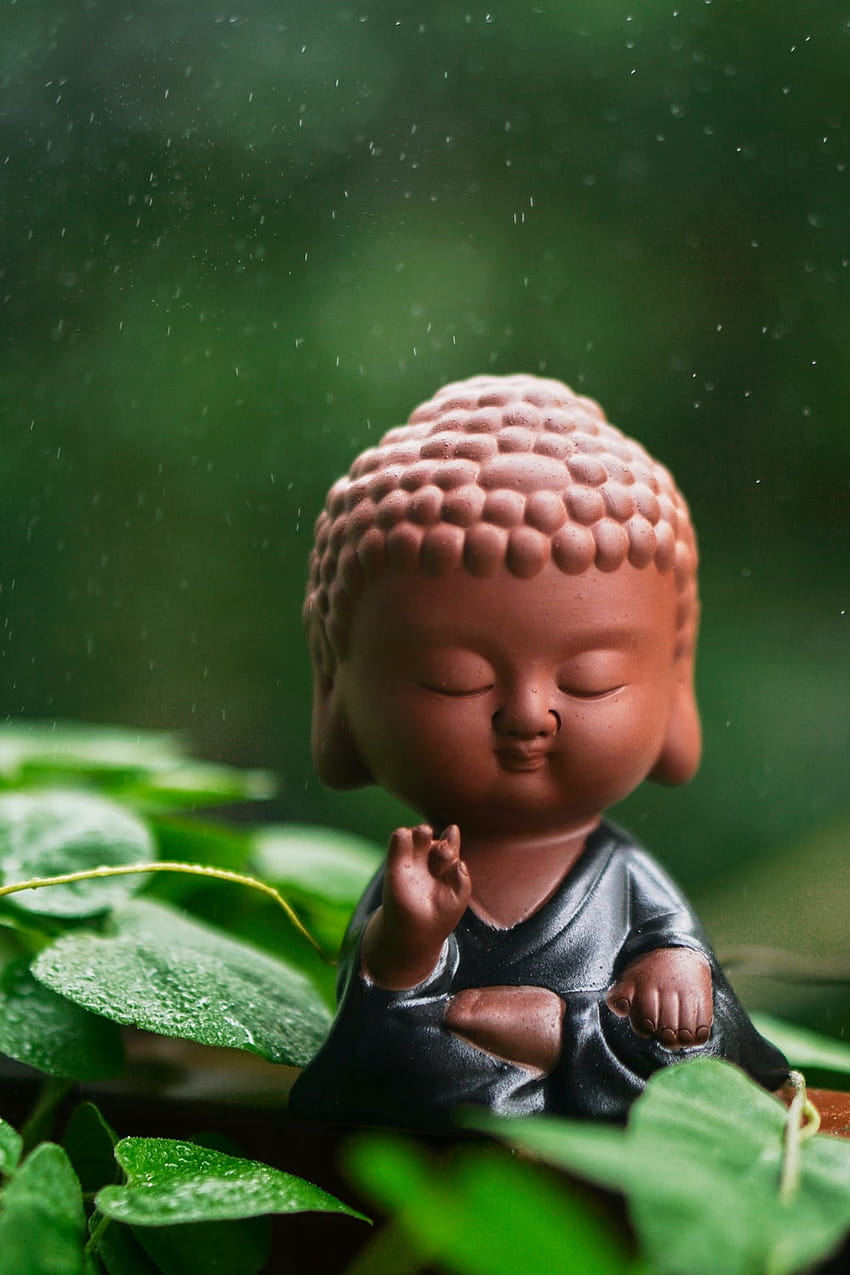 50 Mönch [HQ], süßer Buddha HD-Handy-Hintergrundbild