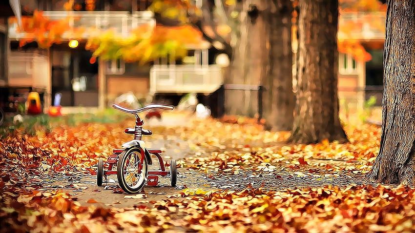 drzewa, rowery, park, jesień ::, park dla dzieci Tapeta HD