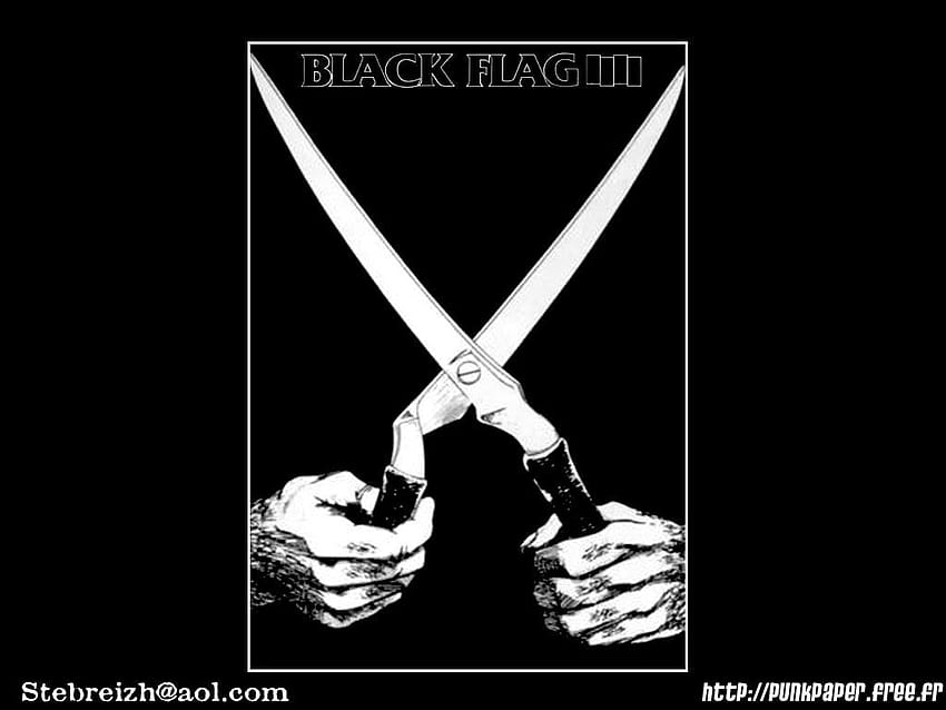 Black Flag 2, black flag band HD wallpaper | Pxfuel