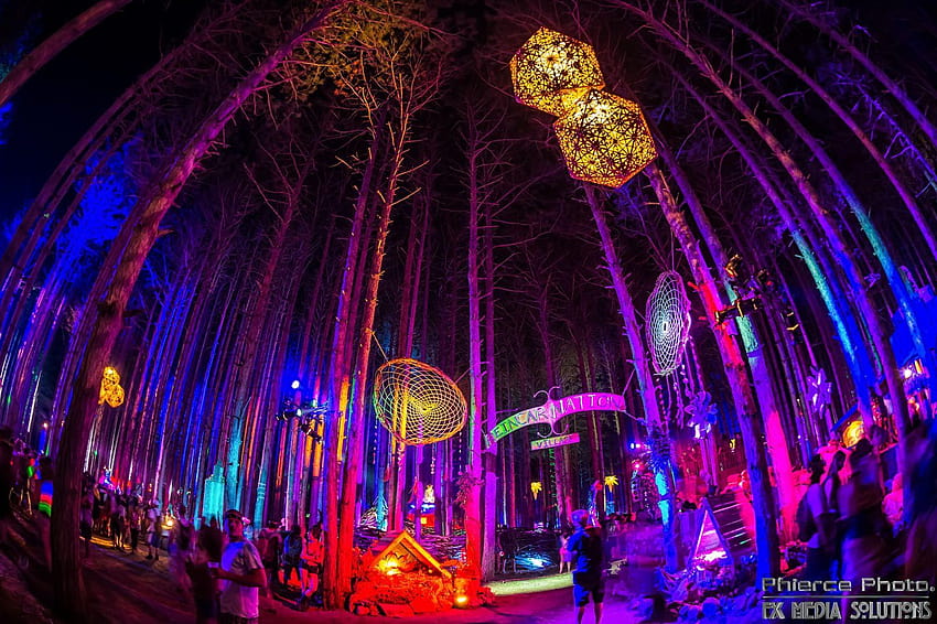 37 Psychedelic of Electric Forest Festival, trippy forest HD wallpaper