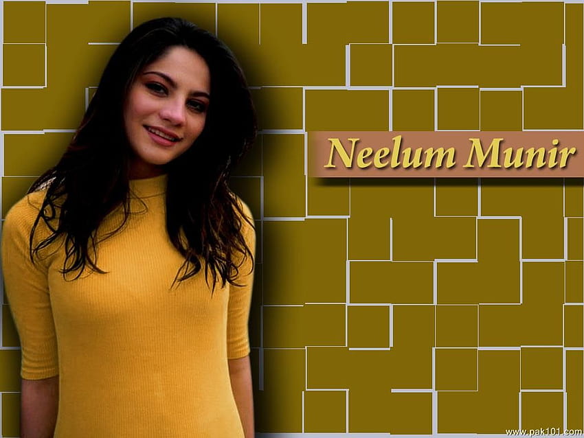 Celebrities > Female Models > Neelam Muneer > > Neelam Munir high quality! 1024x768 HD wallpaper