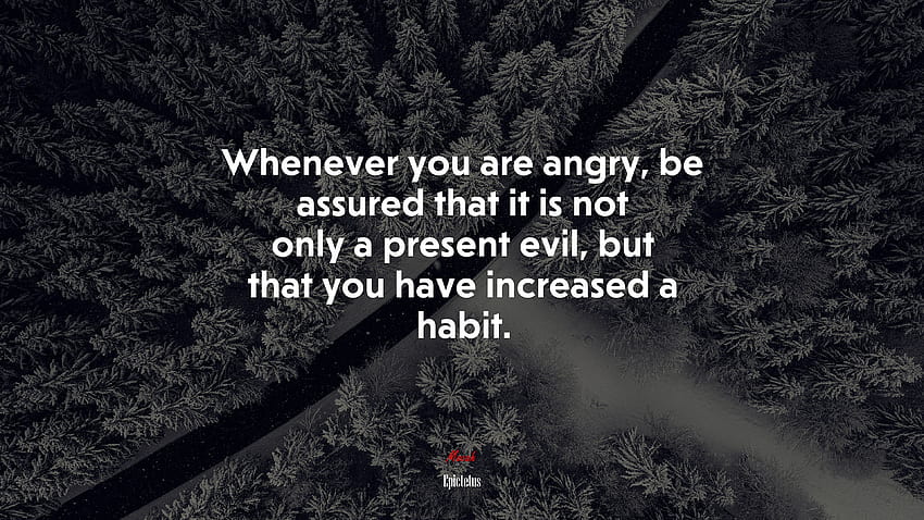 676121 Sempre que você estiver com raiva, tenha certeza de que não é apenas um mal presente, mas que você aumentou um hábito., Epiteto papel de parede HD