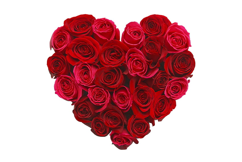 Mawar merah berbentuk hati, mawar hati Wallpaper HD