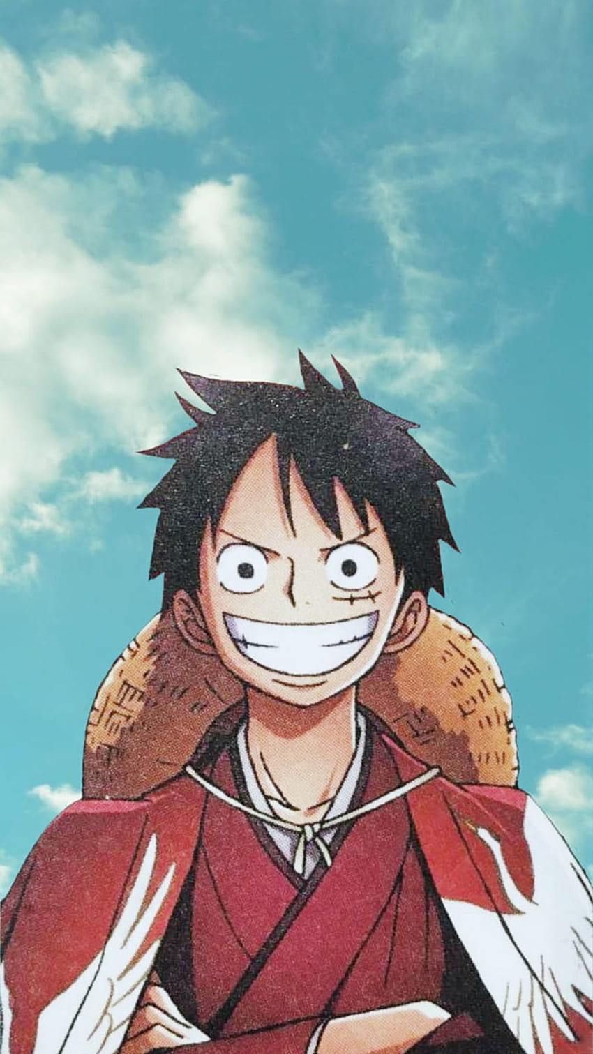 best one piece iphone HD phone wallpaper