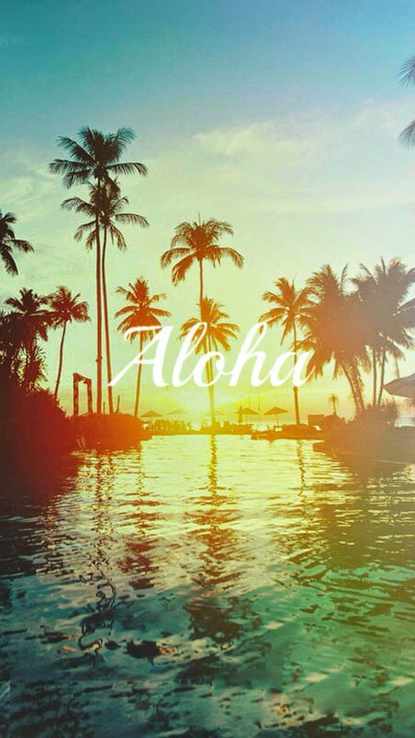 Aloha Hawaii wallpaper by Spider9162  Download on ZEDGE  cd4d
