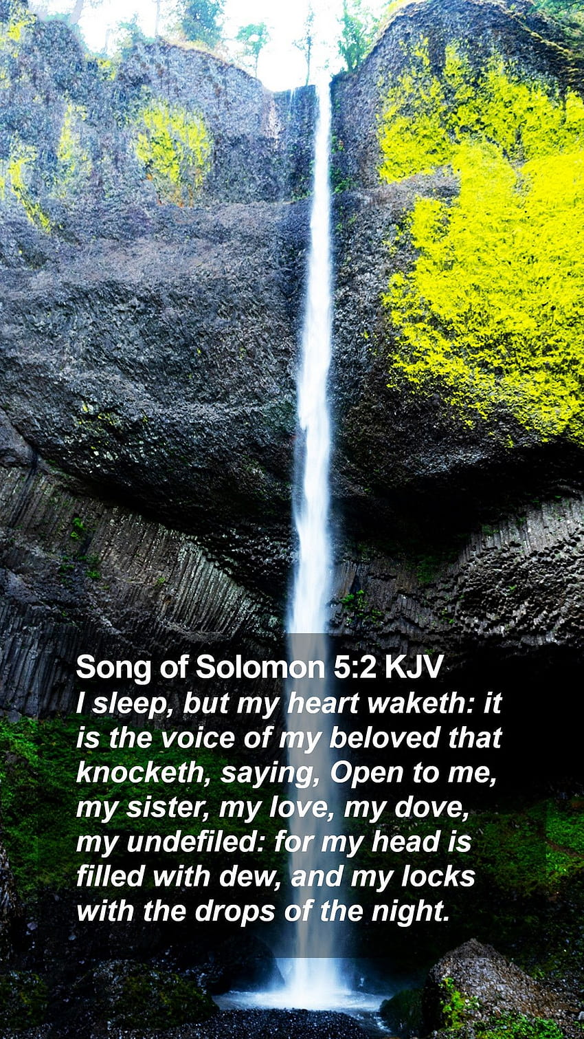 Song of Solomon 5:2 KJV Mobile Phone, my head my heart HD phone wallpaper