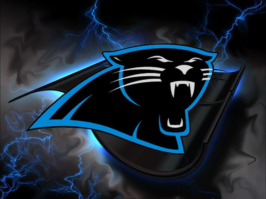 Carolina panthers laptop HD wallpapers