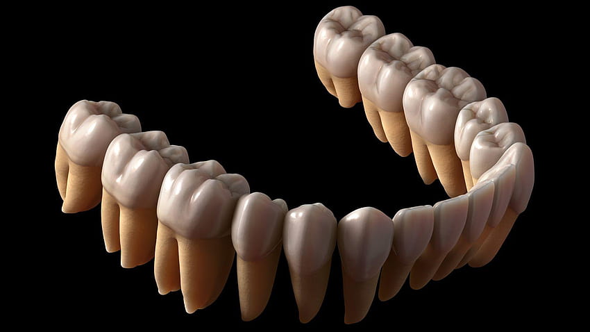 Banners odontológicos e protetores de tela para dentistas 1024x768 papel de parede HD