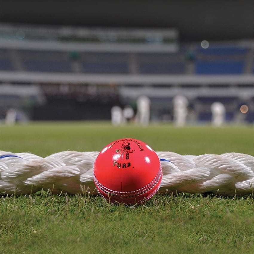 Розова топка за крикет, бухалка за крикет и топка HD тапет за телефон
