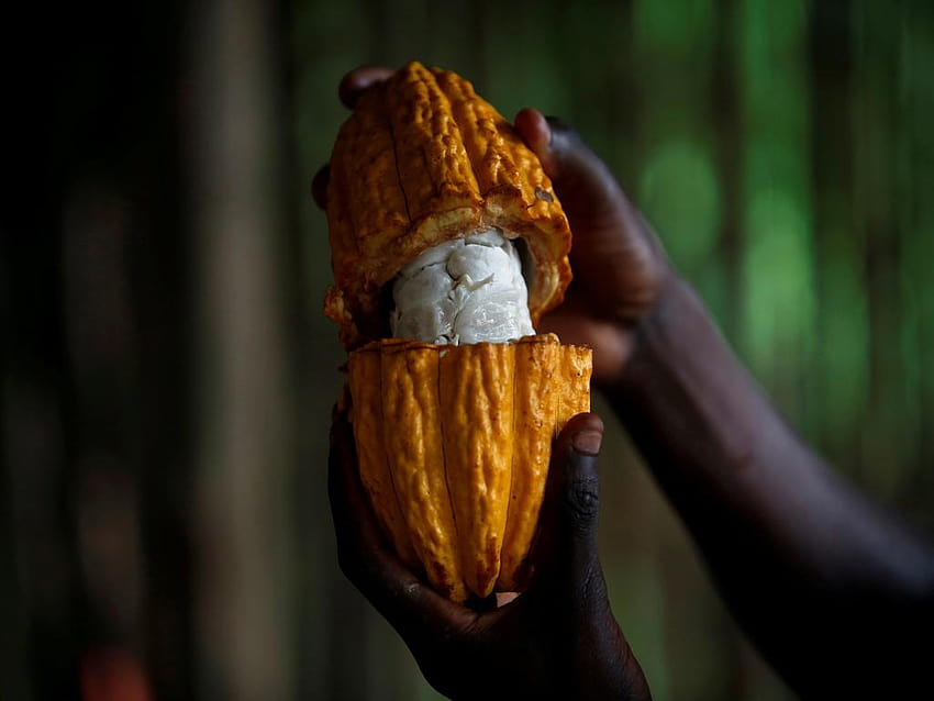 Ekspozycja na dług, Wybrzeże Kości Słoniowej Tapeta HD