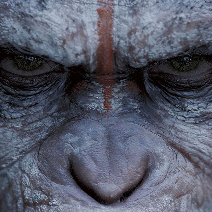„Dawn of the Planet of the Apes“ ist ein starkes Argument für „Planet der Affen“-Bösewichte HD-Handy-Hintergrundbild