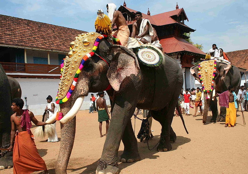 วัด Kerala เป็นตัวอย่างด้วยการแทนที่ช้างด้วยโครงสร้างไม้สำหรับเทศกาล เทศกาล Kerala วอลล์เปเปอร์ HD