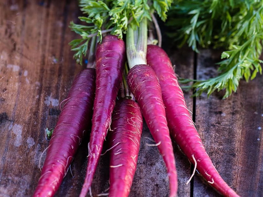 Purple Carrot High Quality, carrots HD wallpaper