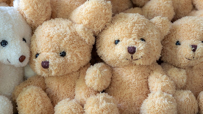 Teddy Bear Roundup ผู้ฆ่าตุ๊กตาหมี วอลล์เปเปอร์ HD