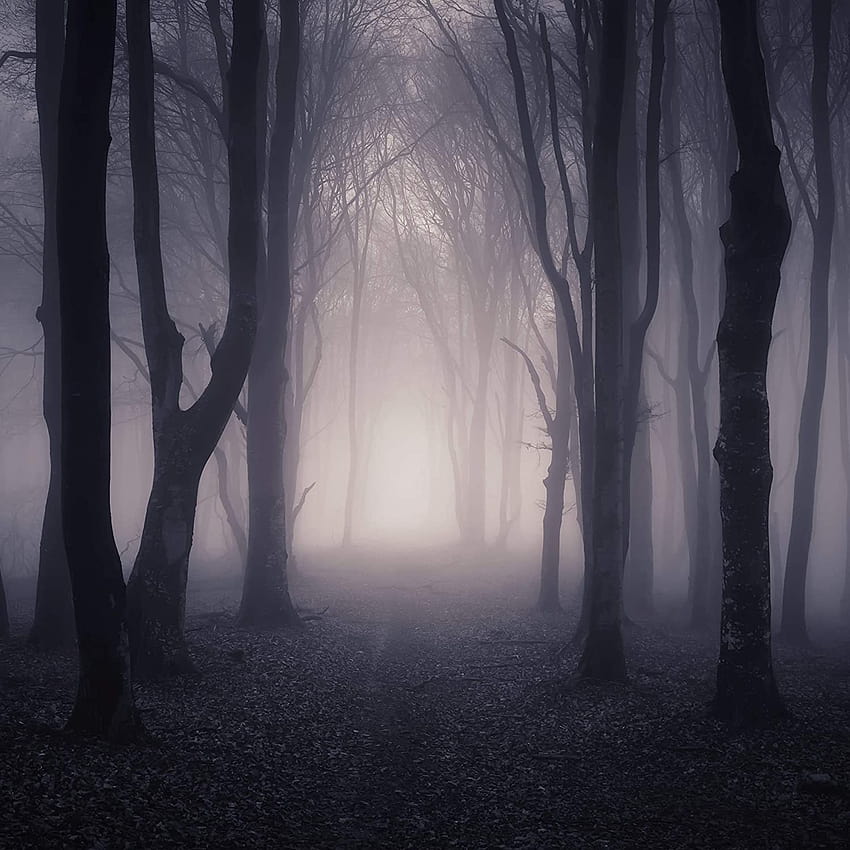 Halloween effrayé forêt toile de fond effrayant nuit sombre brouillard forêt jardin arrière-cour bois route arbres noirs eek scène Hallowmas imprimé tissu arrière-plans, bois d'halloween Fond d'écran de téléphone HD