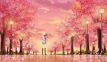 Anime Cherry Blossom Stock Photos - Free & Royalty-Free Stock Photos from  Dreamstime