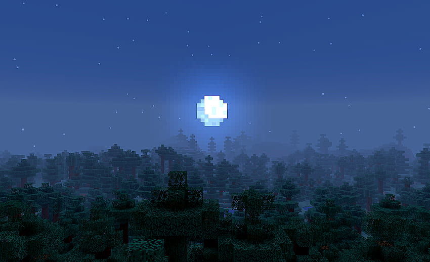Minecraft Taiga at Night [2056x1253]: miniatura di minecraft Sfondo HD