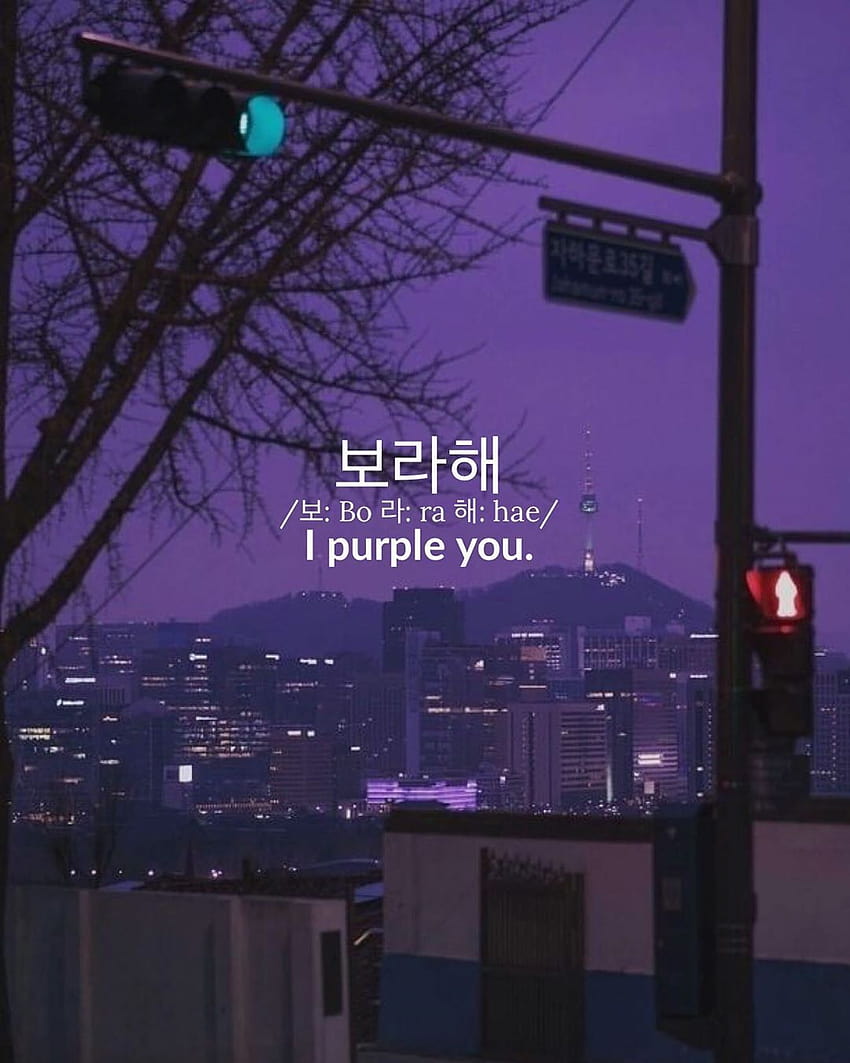 seoul.southkorea 'Borahae' 보라해 보: Bo 라: ra 해: hae Meaning: I purple you is not like saying I love you. But mor… HD phone wallpaper