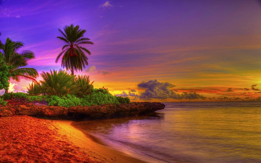 Colorful Sunrise Tropical Beach, sunrise over the beach HD wallpaper