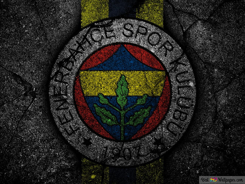 Fenerbahçe F.C., fenerbahçe 2022 HD duvar kağıdı