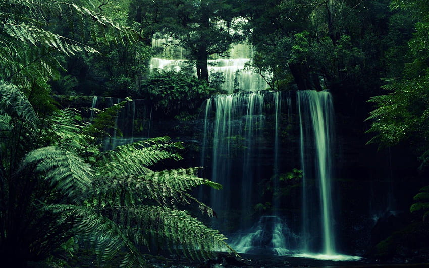 4 Forest Waterfall, green aesthetic computer HD wallpaper