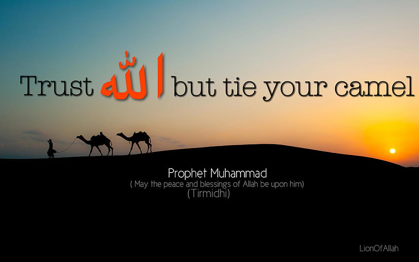 Hermosas citas de Alá. CitasGramo fondo de pantalla