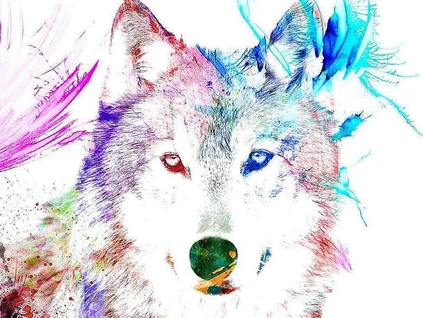 Cool Rainbow Wolf, rainbow wolves HD wallpaper