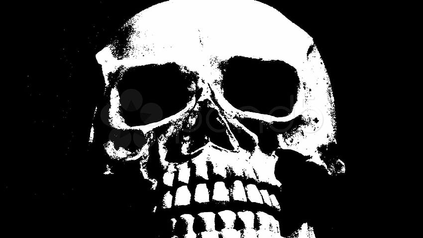 6 Scary Skeleton, spooky scary skeletons HD wallpaper