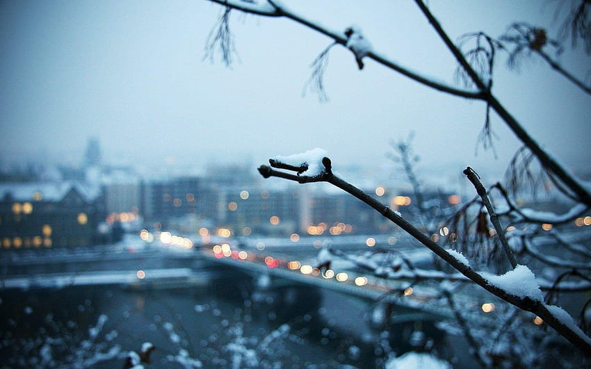 winter, Landscape, Trees, Depth Of Field, Snow, City, snow city HD wallpaper
