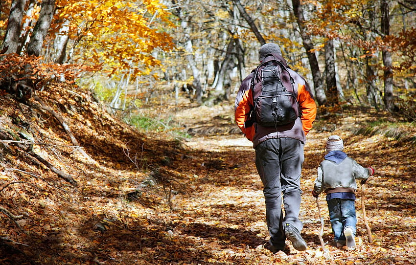 Child, adult, Forest, Hiking, father and son , section настроения