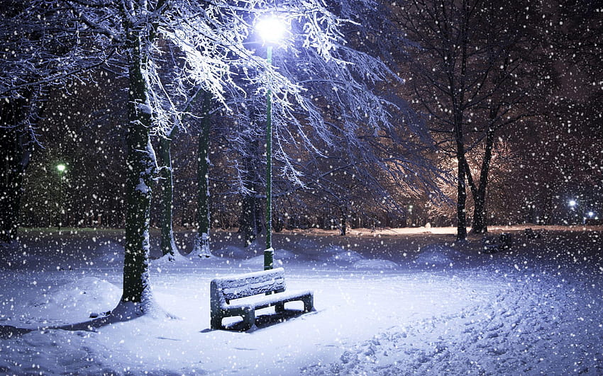 Papéis de Parede Cenário de floresta do inverno, nevoeiro, árvores, ramos,  neve branca 1920x1200 HD imagem