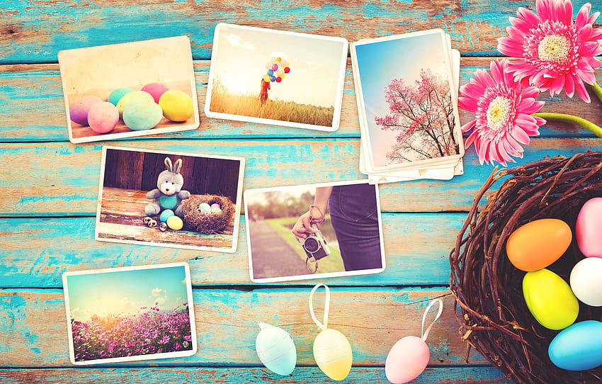 цветя, яйца, пролет, камера, цветен, Великден, гербери, дърво, розово, цветя, камера, пролет, Великден, яйца, декорация , раздел празници, великденски колаж HD тапет