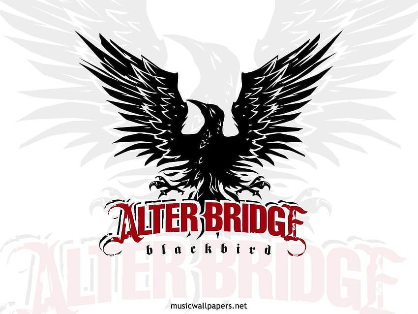 черна птица променя моста HD тапет