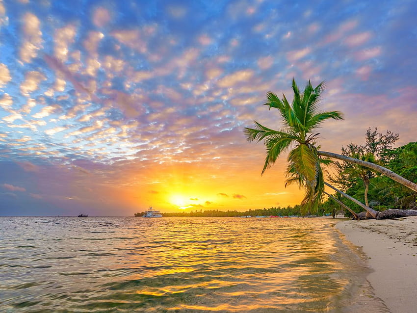110 legendas do nascer do sol para o Instagram compartilhar seu lindo!, lindo nascer do sol do mar papel de parede HD