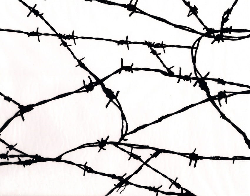 Barbed Wire, barbwire HD wallpaper | Pxfuel