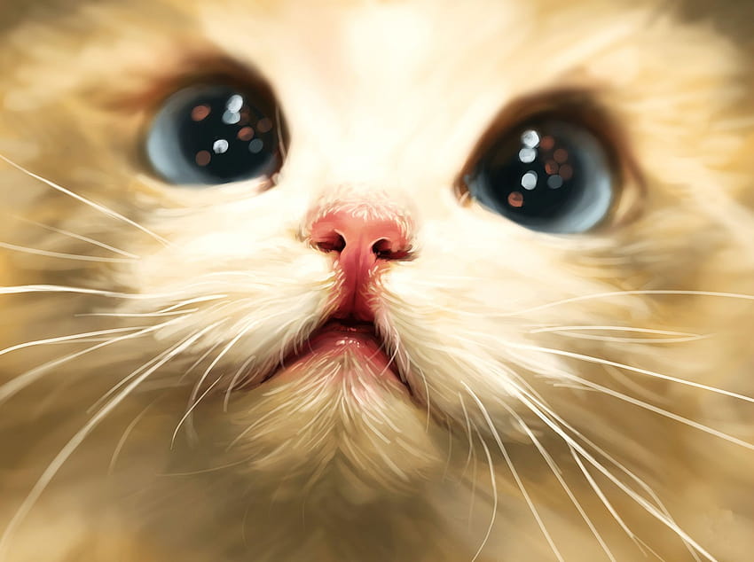 Very cute cats HD wallpaper | Pxfuel