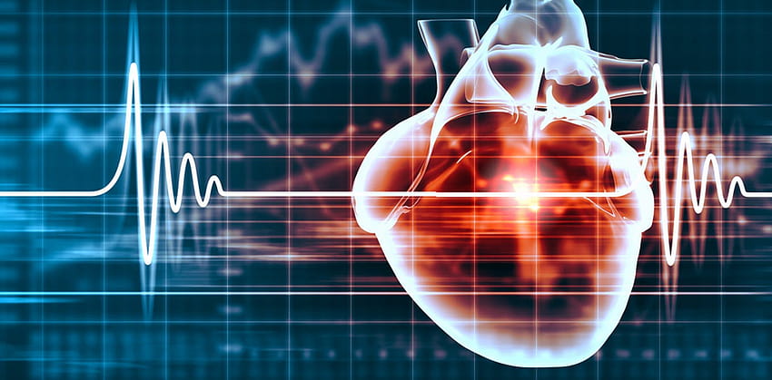 Come abbiamo trovato il gene per una rara malattia cardiaca e perché è importante, la biologia del cuore Sfondo HD