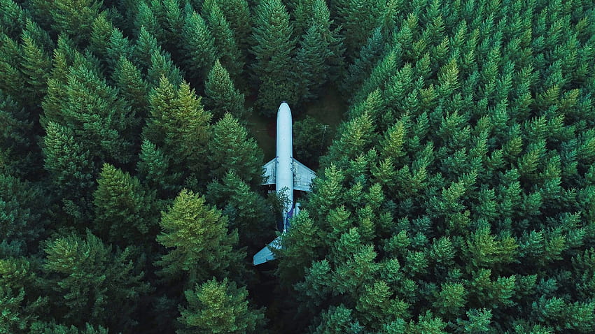 Plane In Middle Of Forest, aircraft HD wallpaper