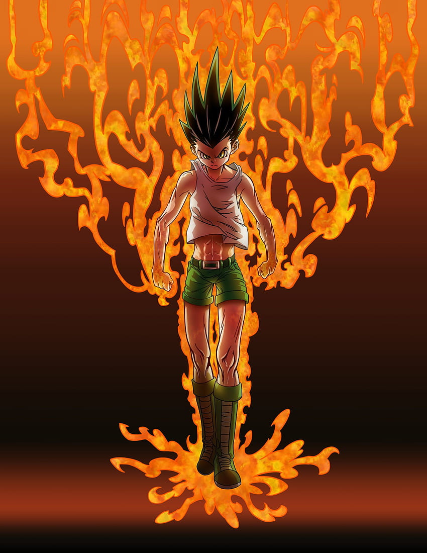 80 Gon Freecss HD Wallpapers and Backgrounds