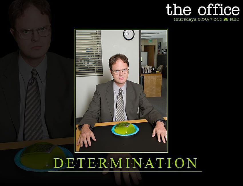 The Office : Dwight, dwight schrute the office HD wallpaper