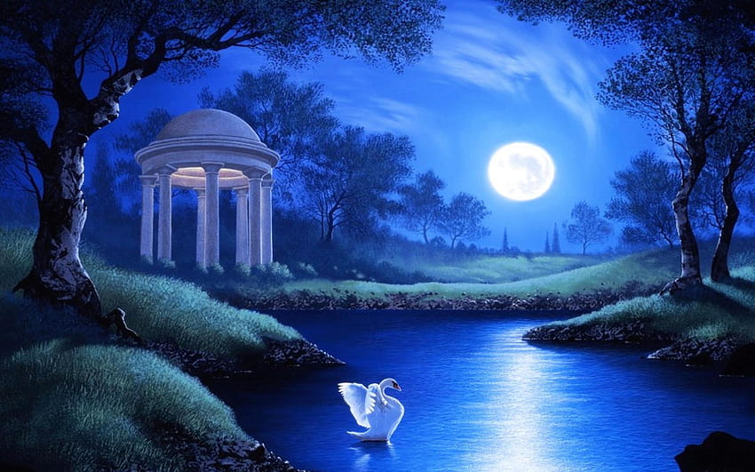 Swan in Garden Lake on Full Moon Night HD wallpaper